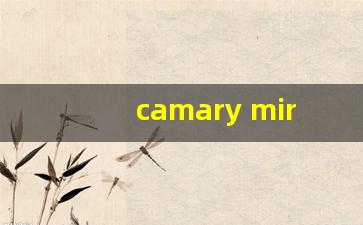 camary mirror投屏软件